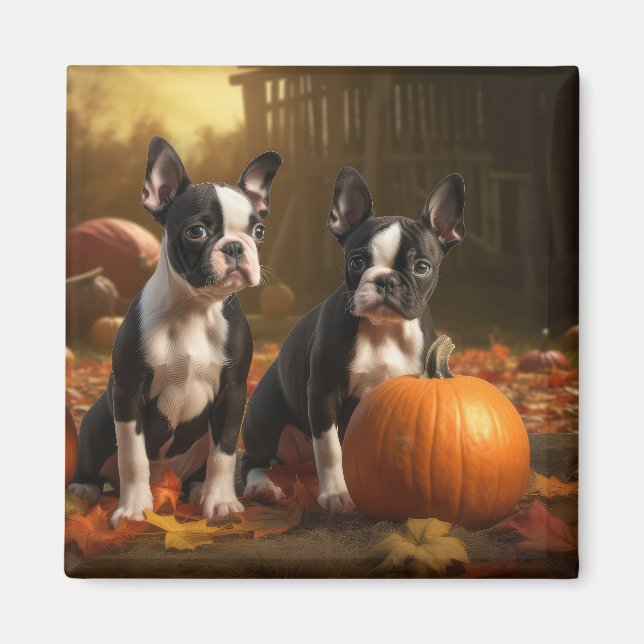 Aimant Boston Terrier Puppy Automne Citrouille de plaisir (Devant)