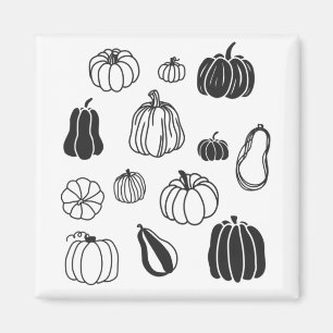 Aimant Botanique citrouille