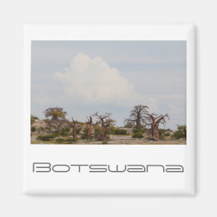 Aimant Botswana Kubu Baobab Island Go Travel