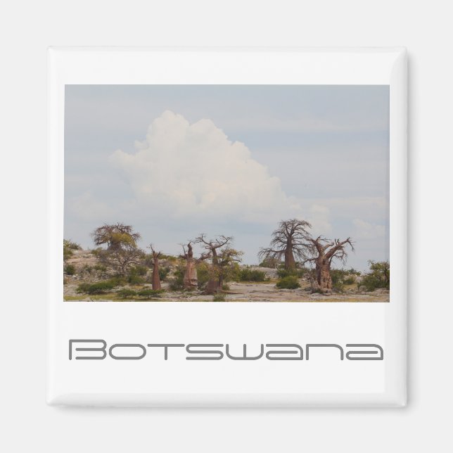 Aimant Botswana Kubu Baobab Island Go Travel (Devant)