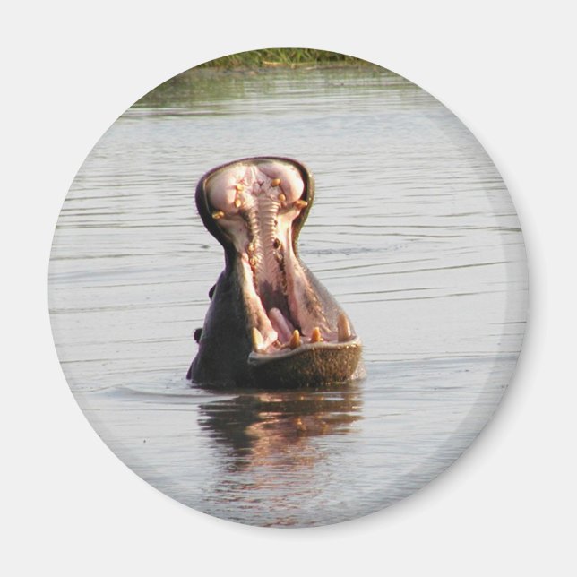 Aimant Bouche hippo (aimant rond ou carré) (Devant)