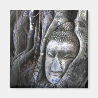 Bouddha Et Le Bouddhisme Arbre Thaïlande Photograp