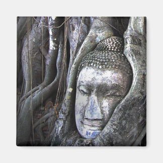 Aimant Bouddha Et Le Bouddhisme Arbre Thaïlande Photograp