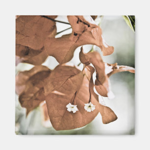 Aimant Bougainvillée rouge