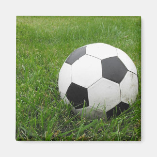 Aimant Boule de football en herbe