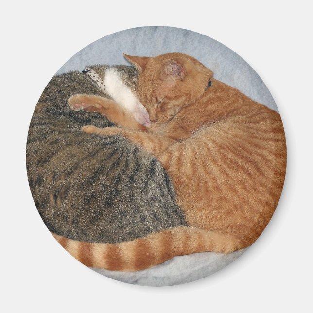 Aimant Boule de la laideur (Devant)