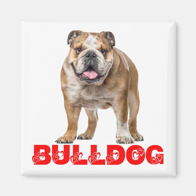 Aimant Bouledogue Amusing Amant Drôle Bully Chien Canin  (Devant)