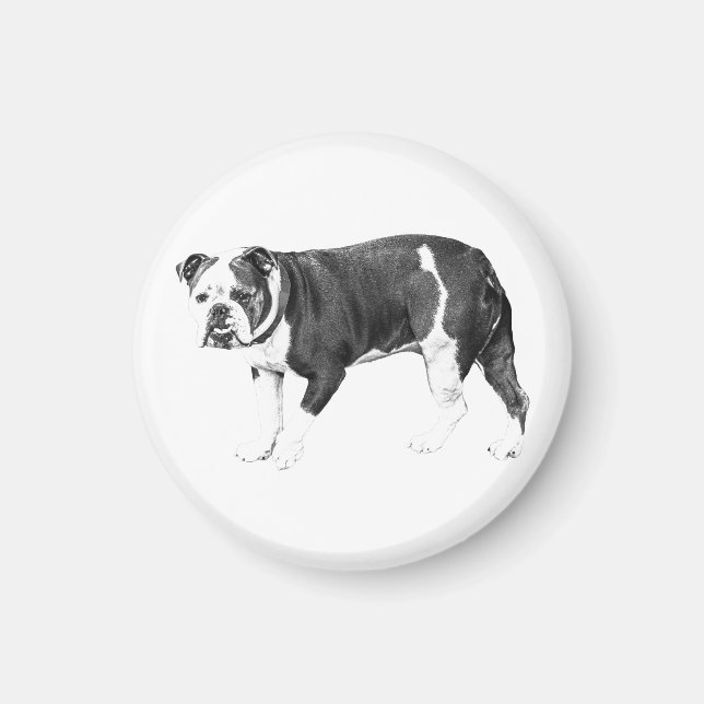 Aimant Bouledogue fidèle, Nuance Expressive (Devant)