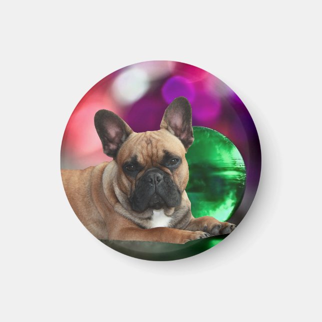 Aimant Bouledogues français colorés (Devant)