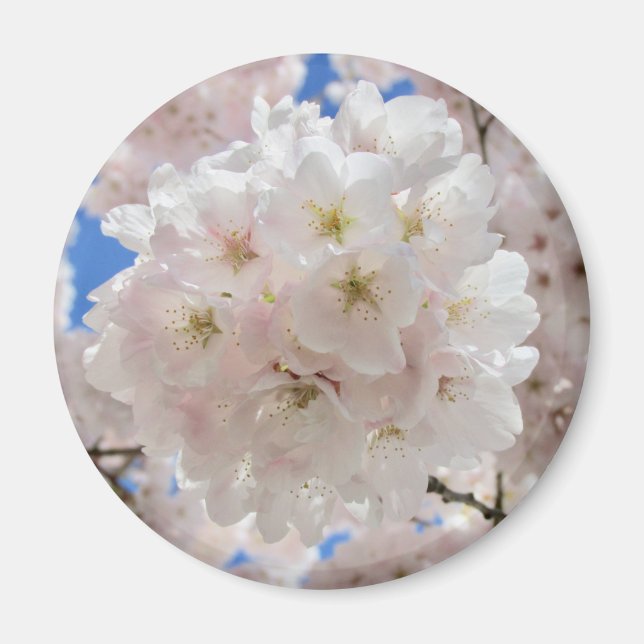 Aimant Boules De Fleur Rose. (Devant)
