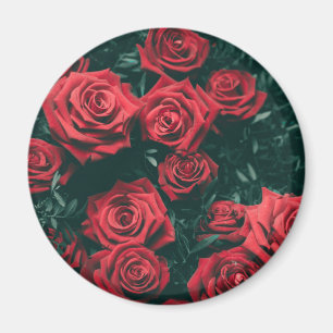 Aimant Bouquet de roses rouges