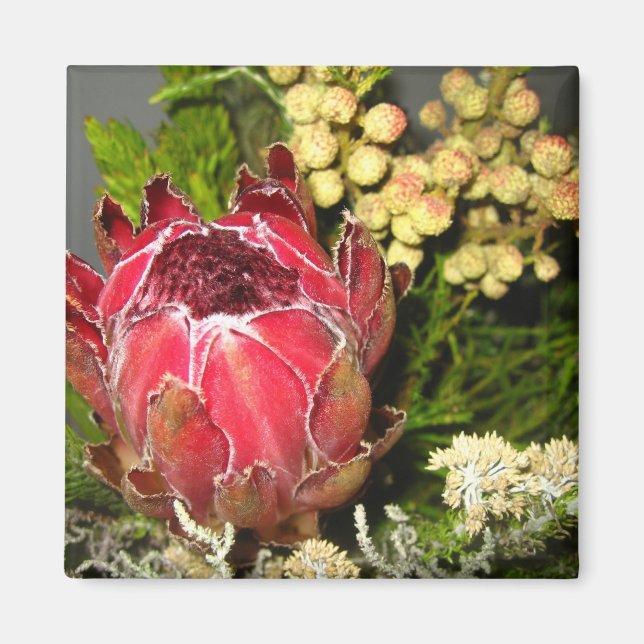 Aimant Bouquet Protea (Devant)
