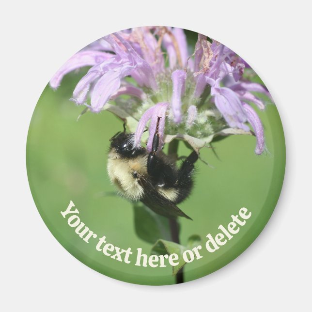 Aimant Bourdon sur une fleur de monarde personnalisée (Devant)