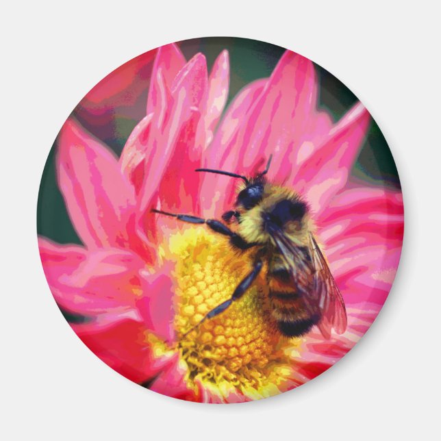 Aimant Bourdon sur une marguerite rose Art  (Devant)