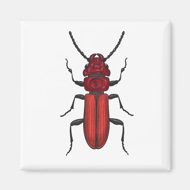 Aimant Bousier rouge (Devant)