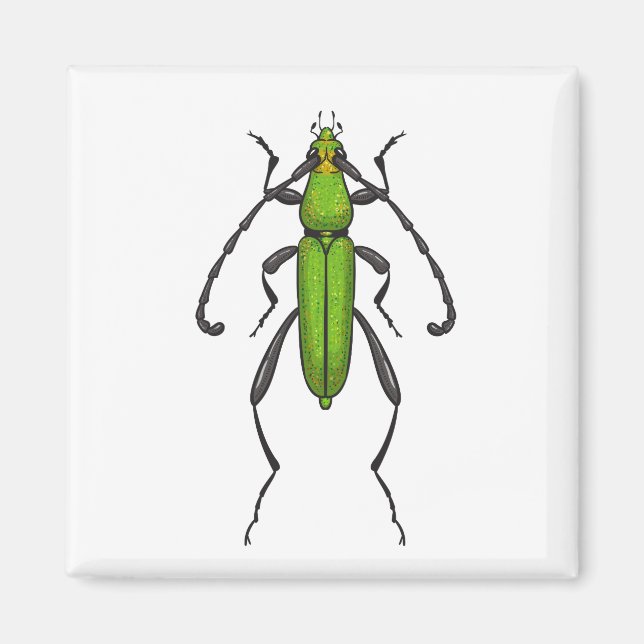 Aimant Bousier vert (Devant)