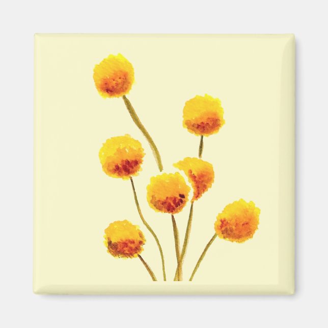 Aimant Bouton Billy jaune fleur australienne originaire (Devant)