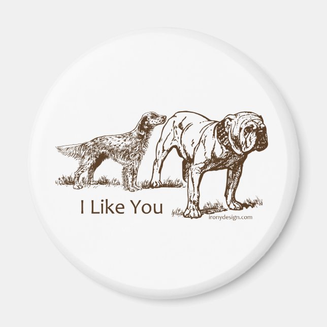 Aimant Bouton des nids de chien (Devant)