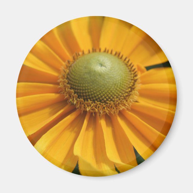 Aimant Bouton Gerbera Jaune du Jour ensoleillé (Devant)