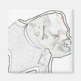 Aimant Boxe blanche