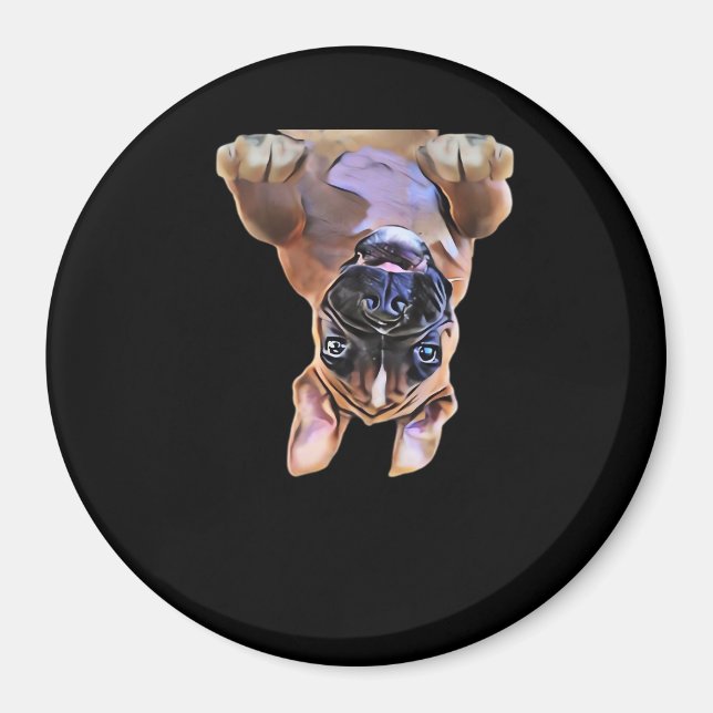 Aimant Boxe Peekaboo (Devant)