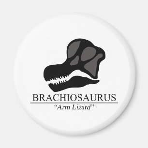 Aimant Brachiosaurus