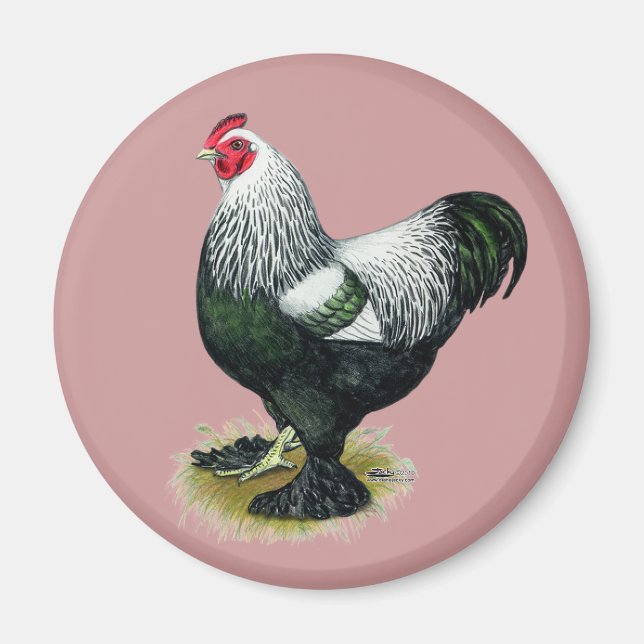 Aimant Brahma : Coq foncé (Devant)