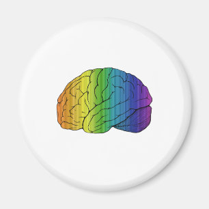 Aimant Brainbow