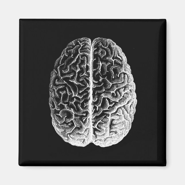 Aimant Brains ! (Devant)