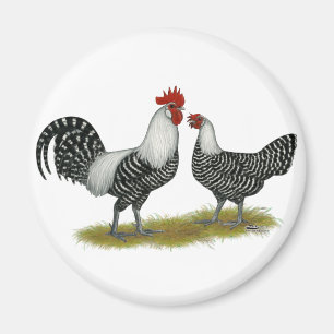 Aimant Brakel Chickens