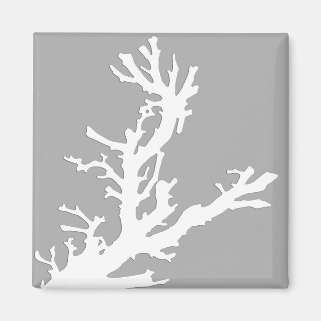 Aimant Branche de corail - blanc sur gris argenté (Devant)