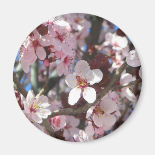 Aimant Branche de fleurs roses Printemps Floral