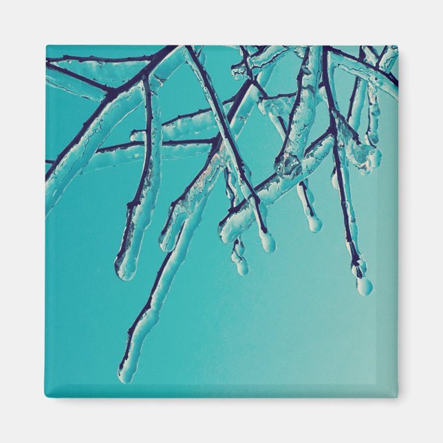 Aimant branches de glace (Devant)