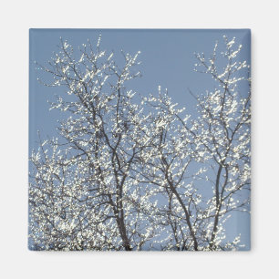 Aimant Branches Icy dans le ciel bleu d'hiver