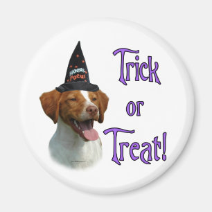 Aimant Bretagne Spaniel Trick