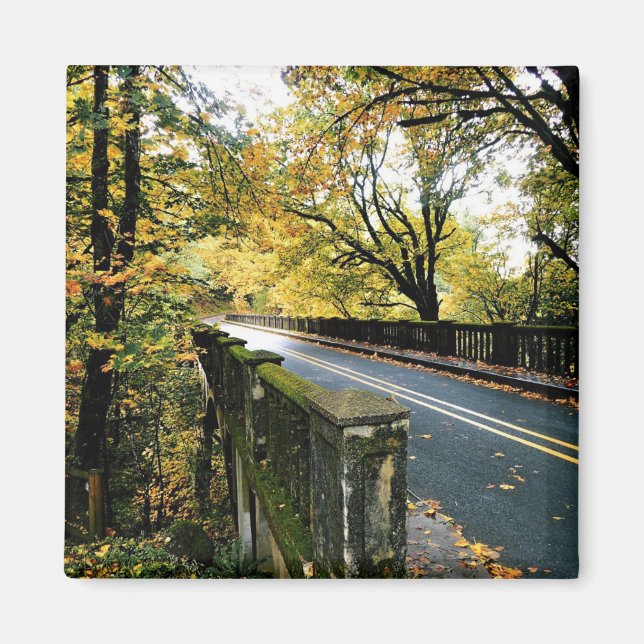 Aimant Bridge at Latourell Falls, Oregon (Devant)