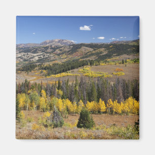Aimant Bridger-Teton National Forest