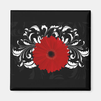 Aimant Bright Red Gerbera Daisy on Black