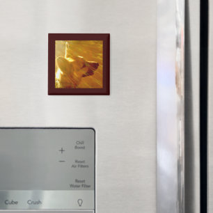 Aimant Brille Sur Moi Berger Allemand #2