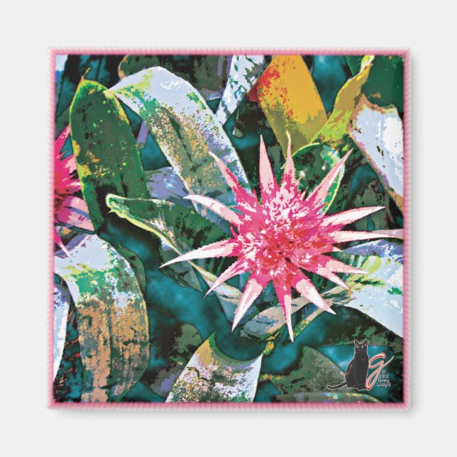 Aimant Bromie épineux (Devant)