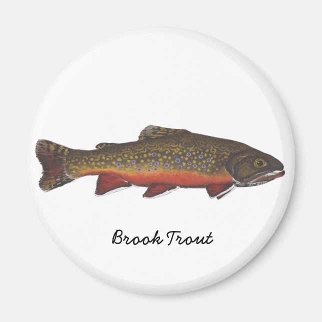Aimant Brook Trout (Devant)