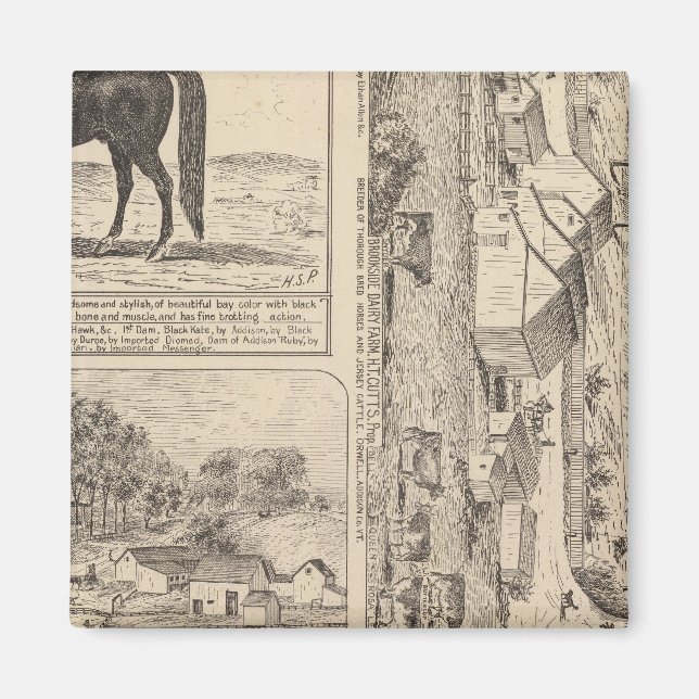 Aimant Brookside Dairy Farm (Devant)