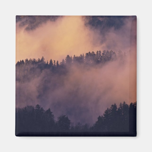 Aimant Brouillard hivernal dans la vallée au coucher du s (Devant)