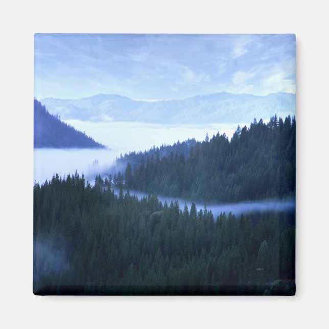 Aimant Brouillard matinal...... (Devant)