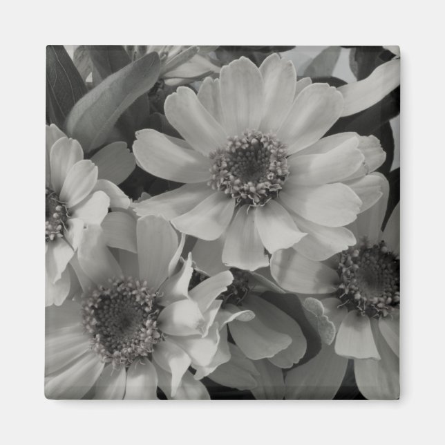 Aimant Brown Eyed Susan Flowers (Devant)