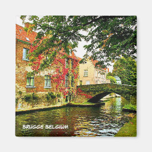 AIMANT BRUGES, BELGIQUE