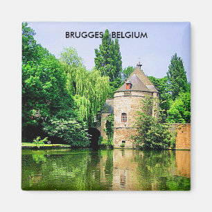 AIMANT BRUGGES BELGIQUE