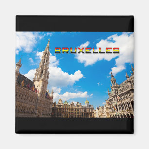 Aimant Bruxelles 01E