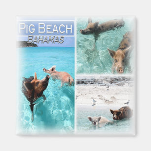 Aimant BS0018 Amérique, Bahamas, réfrigérateur