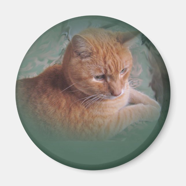 Aimant Bubba l'Orange Tabby Tomcat (Devant)